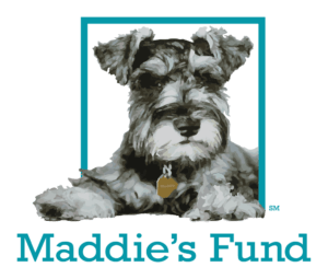 maddies-fund_square