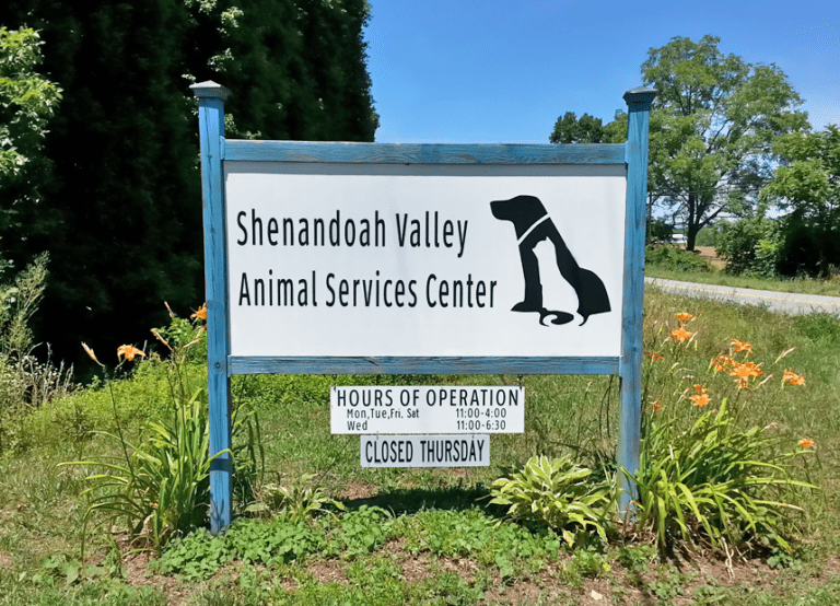 Animal center