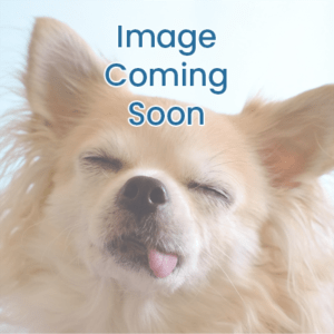 No-Image-Available No-Image-Available