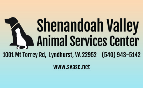 Home - Shenandoah Valley Animal Services Center - Shenandoah Valley Animal  Services Center