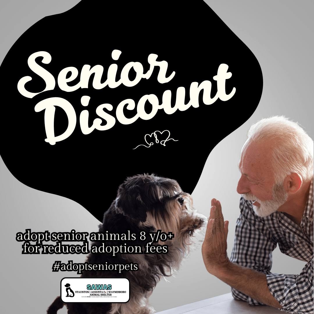 Senior Discount
